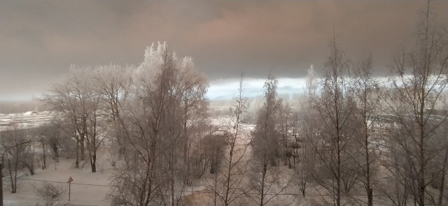 Экспертное мнение