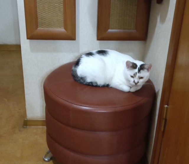 Кормящую мамочку выгнали из фитнесс клуба. Но есть нюанс