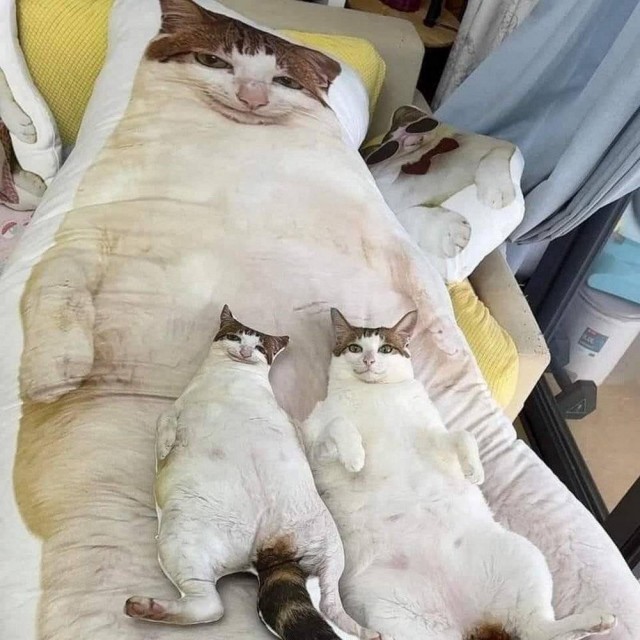 ФотоВинегрет