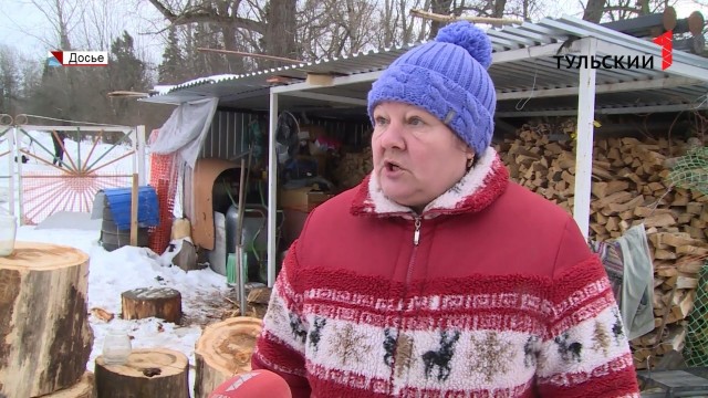 Кровососущие черви вылезают из песка на пляжах Санкт-Петербурга и кусают людей — СМИ