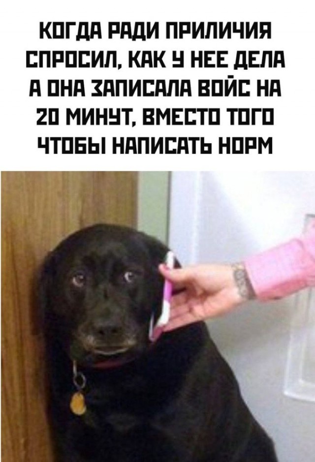 Веселые картинки к пятнице