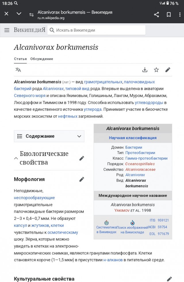 На побережье Анапы начался шторм — жители Витязево опубликовали видео, на котором мешки с собранным мазутом снова смывает в море