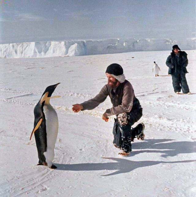 Фотографии из прошлого нашей страны – 94