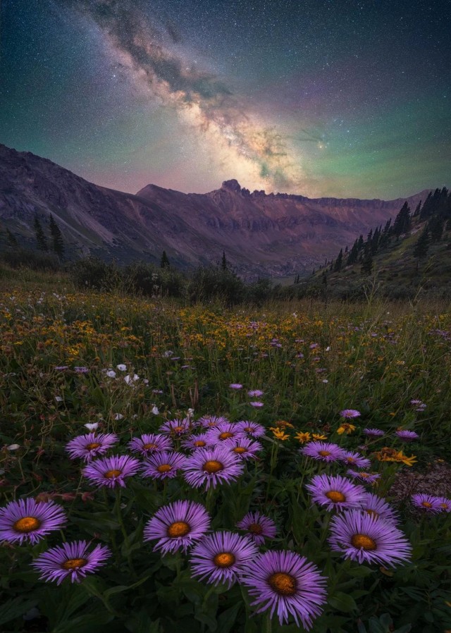 ФотоВинегрет