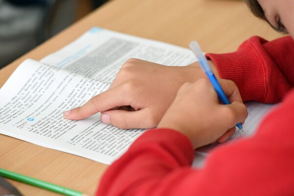 Утверждены  Основы языковой политики