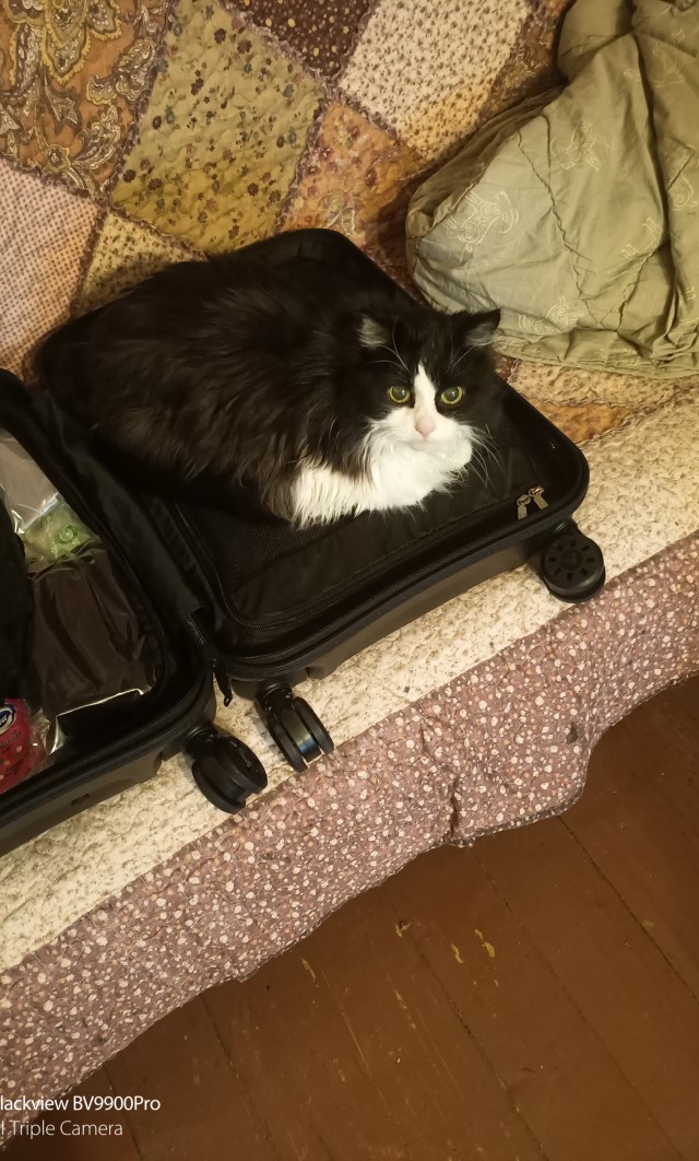 Причина опоздания на работу