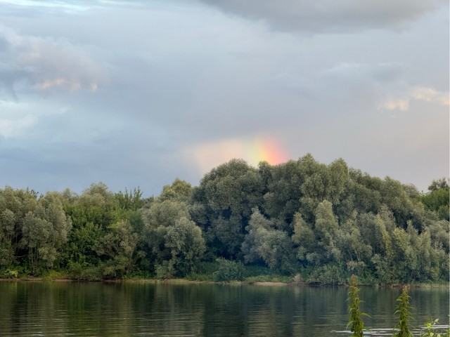 Природа в Подмосковье