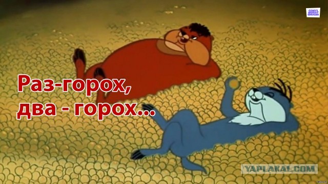 Угадайте, кто здесь живет