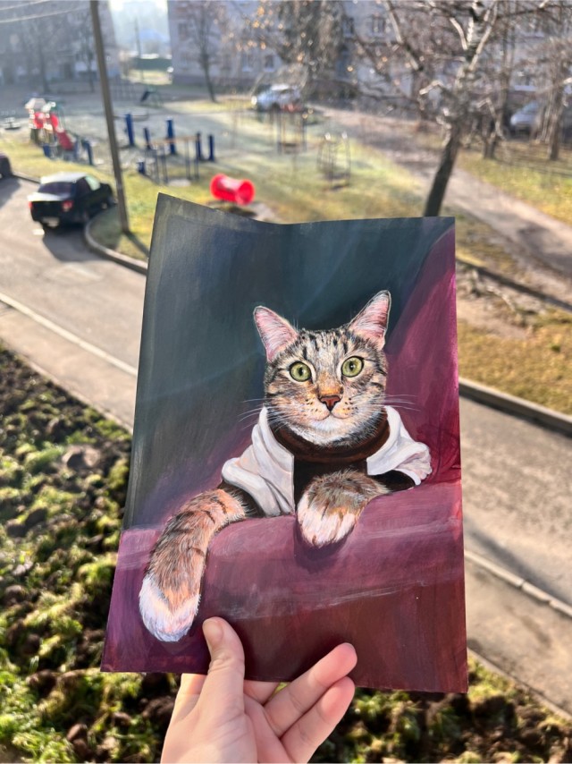 Иногда и у нас бывают солнечные дни в ноябре. Портрет кота выходит куда круче, под лучшим светом.