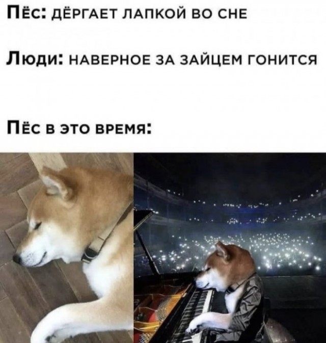 Веселые картинки в понедельник (24.11)