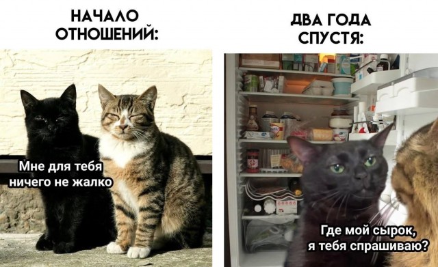 Так себе картинки 16.12.25