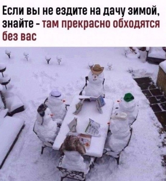 Так себе картинки 29.01.26