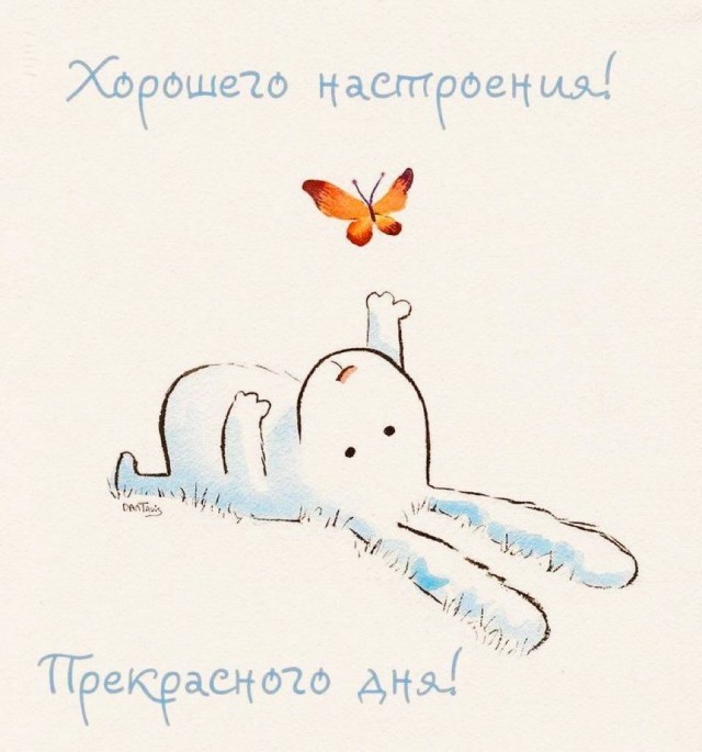 Прикольные и просто красивые картинки 13.03.2026