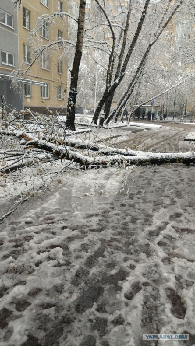 Утро в Москве