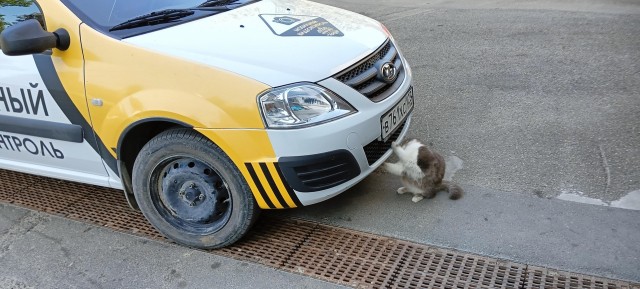 Озеро Абрау