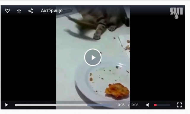 Хитрый манёвр по краже рыбы