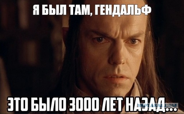 Весы кухонные надо?