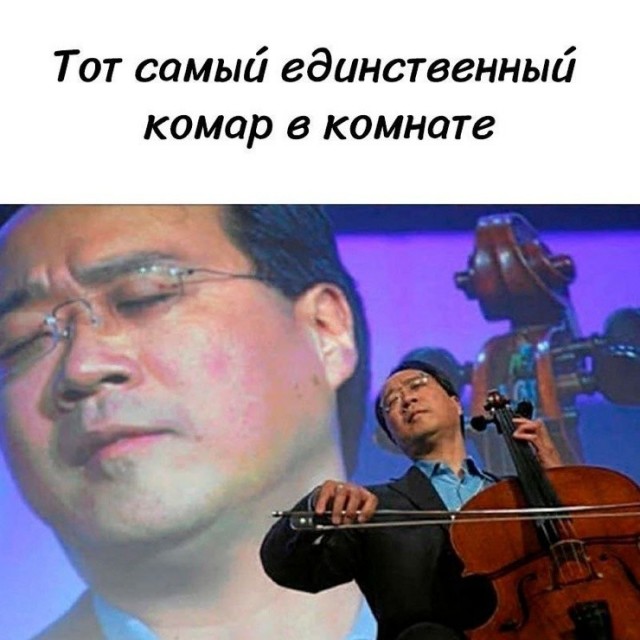 Картинки для деградации 242 (разной степени свежести)