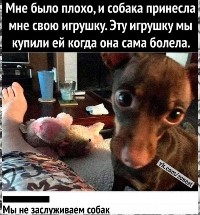 Контент для невзыскательной аудитории