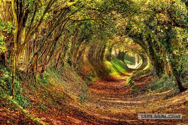 Сказочный тоннель в Англии