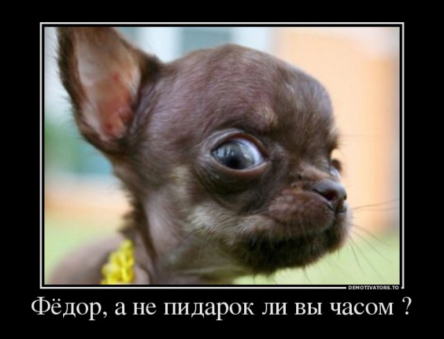 Одичали