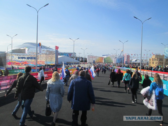 Как я ездил на кёрлинг