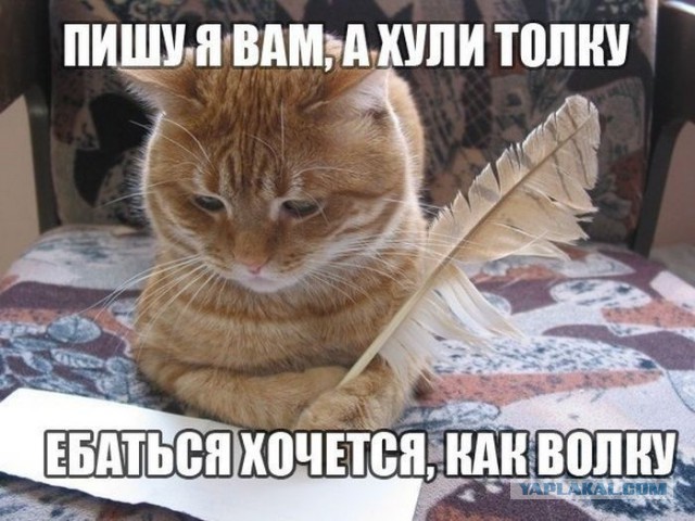 ТП ждущая ЗК ...:)