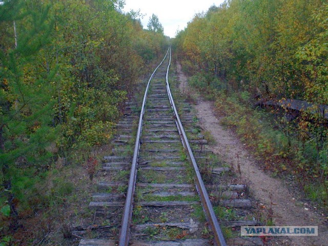 Сибирская деревенька