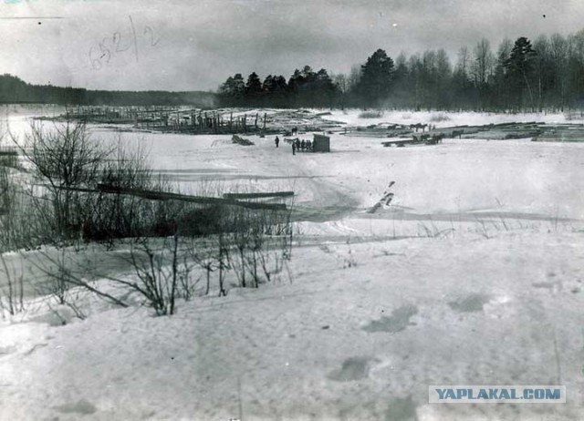 Беляны, уникальные волжские гиганты