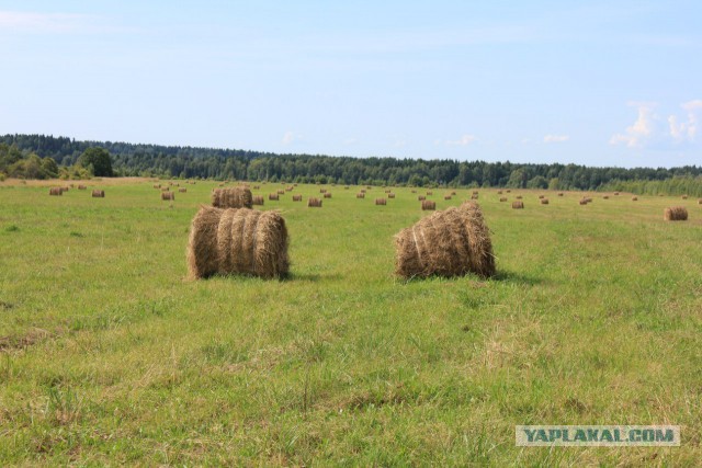 Село Борисоглебское