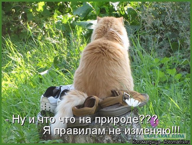 Подборка картинок