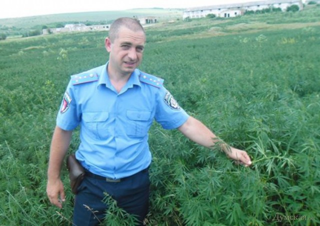 Набор в профессиональные бандиты начинается