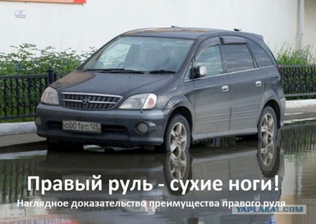 Старый пруль