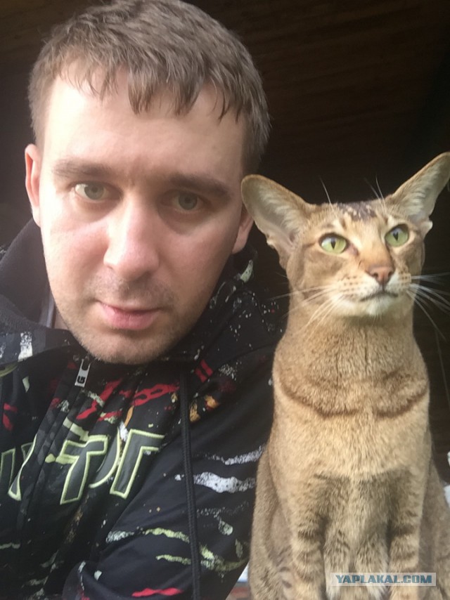 Жизнь как она есть...