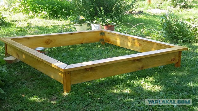 Песочница обыкновенная от IT-ка
