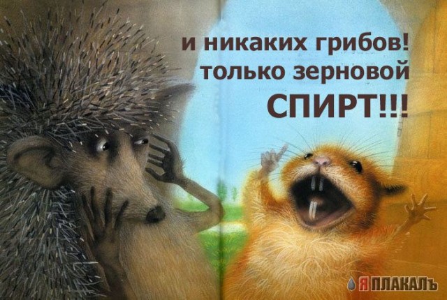 ПЛАКАТЫ. Прикольные плакаты, коллекция