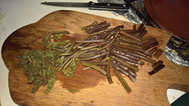 Кальмар+папоротник=вкусно