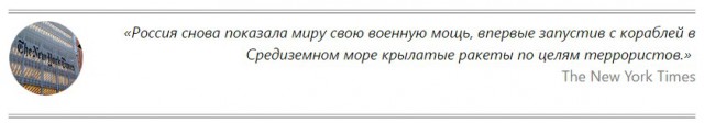 Год операции в Сирии. Цифры, факты, цитаты