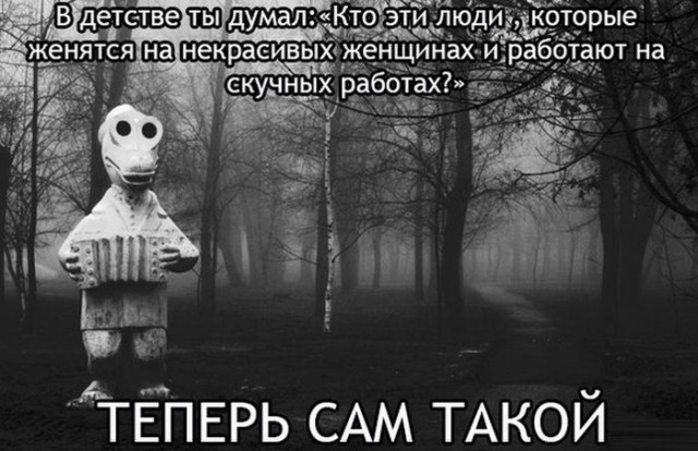 Прикольные картинки