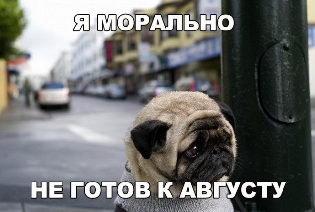 Смешные и не очень картинки из этих ваших интернетов