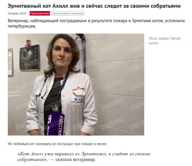 Пожар в эрмитаже. Погибли Эрмитажные коты