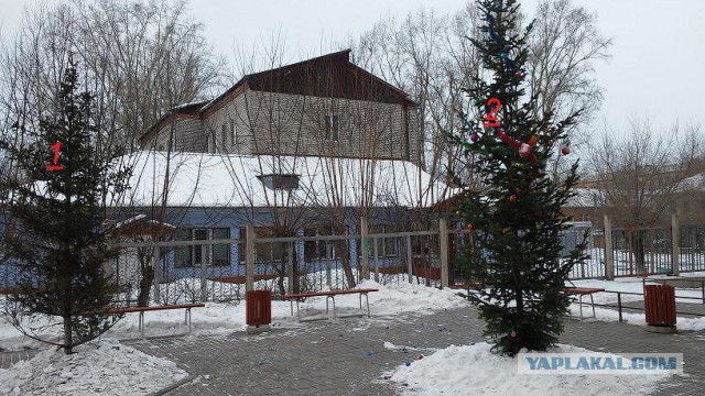 Рейтинг «самых ужасных» рождественских ёлок