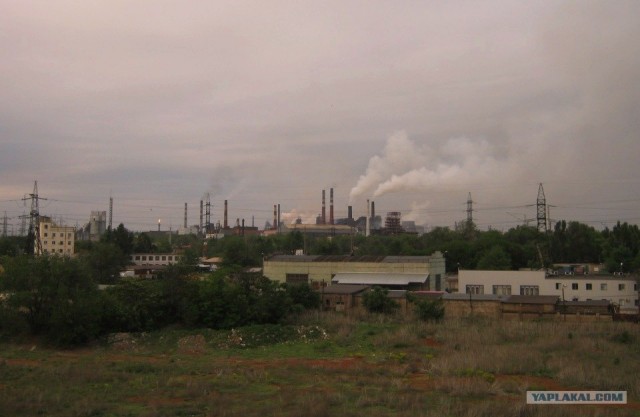 Родина «горбатого»