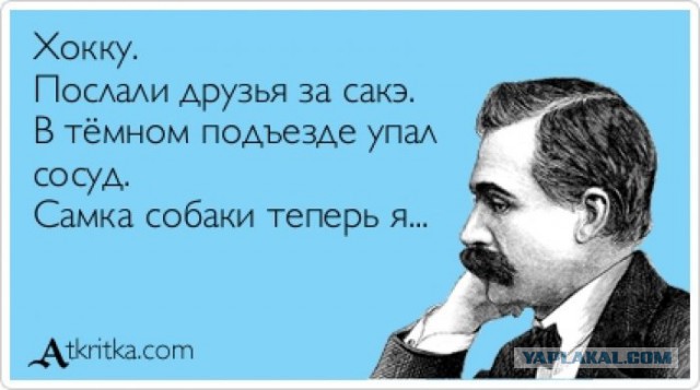 Немного картинок в этот вторник