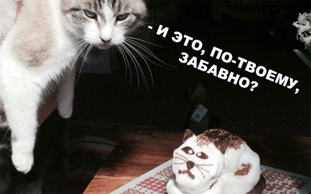 Нестандартный юмор