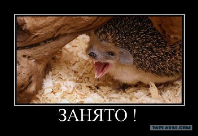 А ты поделился с Ежиком?!