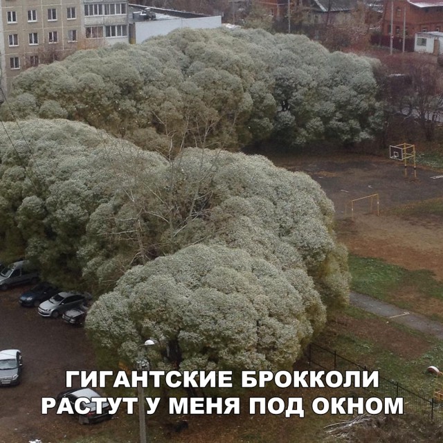Нестандартный юмор
