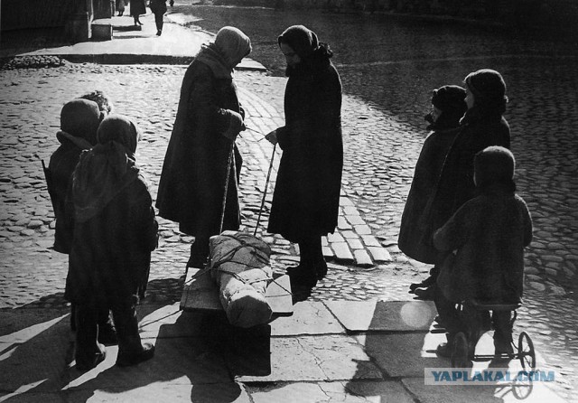 О блокадном Ленинграде решили снять черную комедию