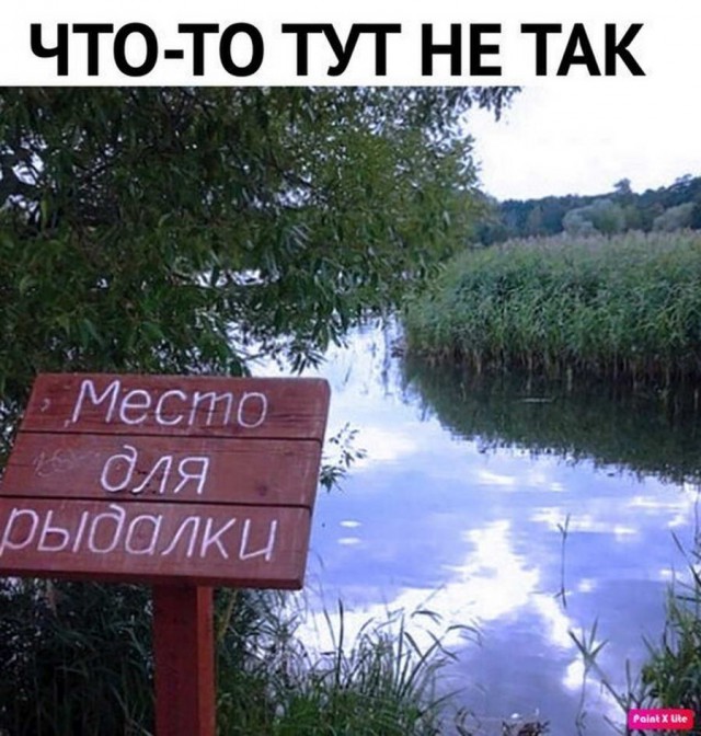Анекдоты, соц-сети и картинки с надписями