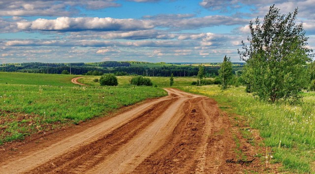 Красота сельских дорог